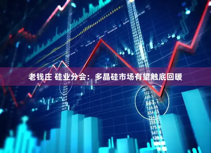 老钱庄 硅业分会：多晶硅市场有望触底回暖