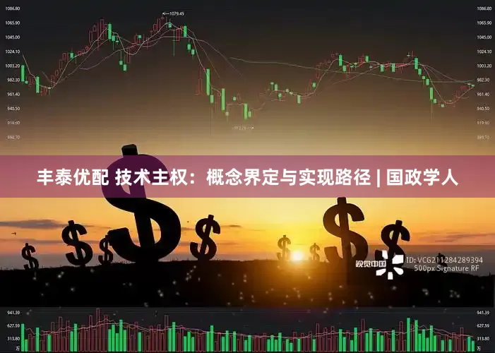 丰泰优配 技术主权：概念界定与实现路径 | 国政学人