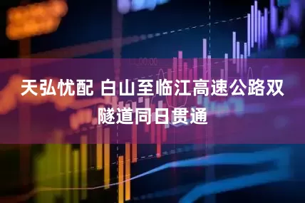 天弘忧配 白山至临江高速公路双隧道同日贯通